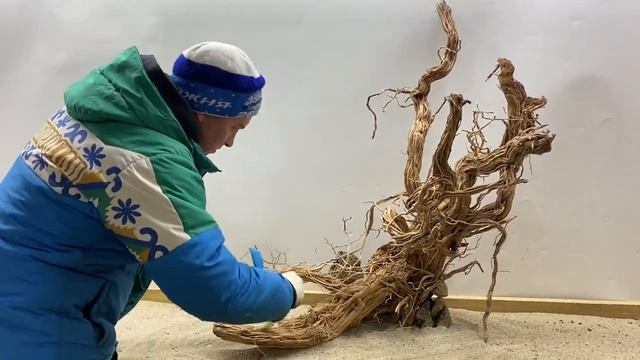 Корень ротанга для большого аквариума смотреть онлайн