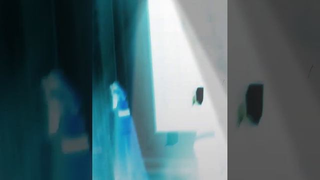 Я не знаю что я делаю ха-ха-ха-ха!!!! смотреть онлайн