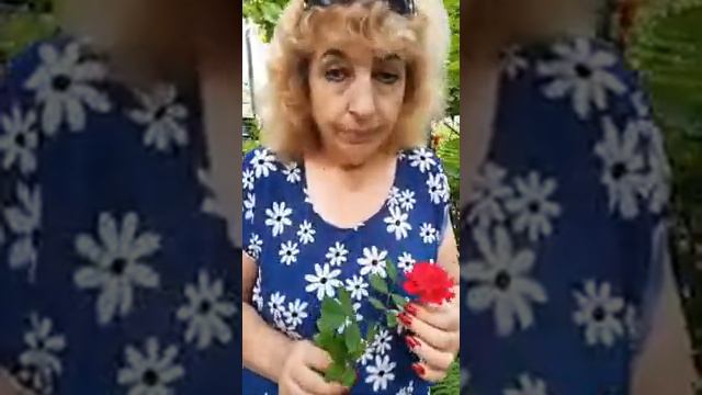 мама мамочка моя! дай Алах тебе здоровья и долгих радостных лет! смотреть онлайн