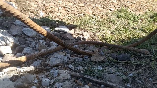 РЕЖУ АРМАТУРУ НА СВАЛКЕ АККУМУЛЯТОРНОЙ БОЛГАРКОЙ! ПОИСК МЕТАЛЛОЛОМА! ДОБЫВАЮ МЕДЬ! АЛЮМИНИЕВЫЕ БАНК смотреть онлайн