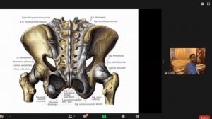 ВЕБИНАР ПО ПРИКЛАДНОЙ   КИНЕЗИОЛОГИИ. КИНЕЗИОЛОГИЯ. ОСТЕОПАТИЯ.