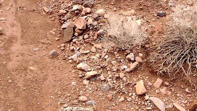 ROCKHOUND GOLD DISCOVERIES REVEALED AFTER MONSTER MONSOONS & FLASH FLOODS MOVE EARTH NEAR LAS VEGAS смотреть онлайн