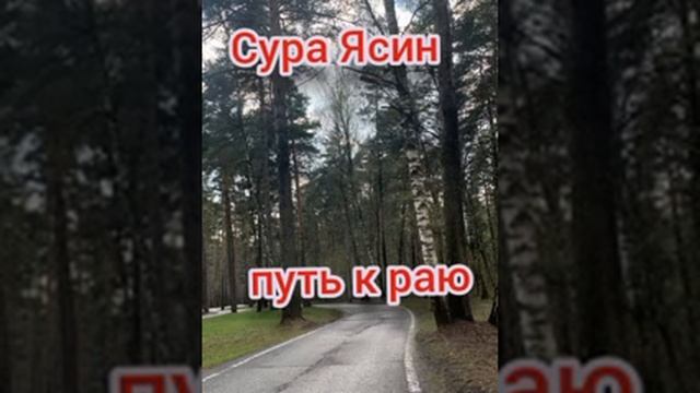 Сура Ясин часть - 1 / #Ясин #сура #каран #путькраю #karan #sura #Yasin