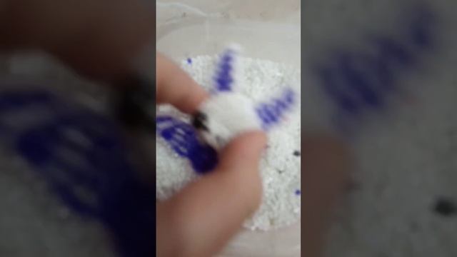 летучая мышь;) #рек #рекомендаций #бисер #творчество #можноврек #амигуруми #амигурумиизбисера #мини смотреть онлайн