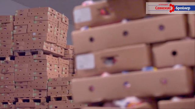 АГРОХОЛДИНГ "САЯНСКИЙ БРОЙЛЕР" смотреть онлайн