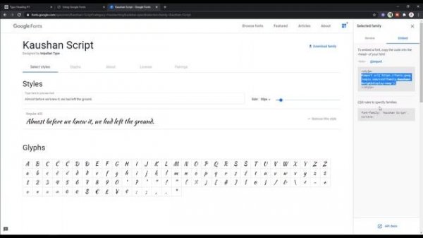 How to use Google Font in CodePen or Editor || HTML , CSS
