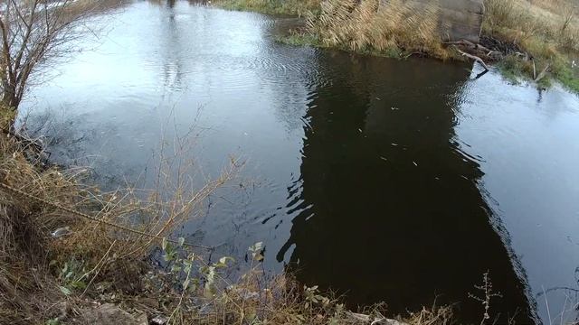 Рыбалка на Миусе. смотреть онлайн