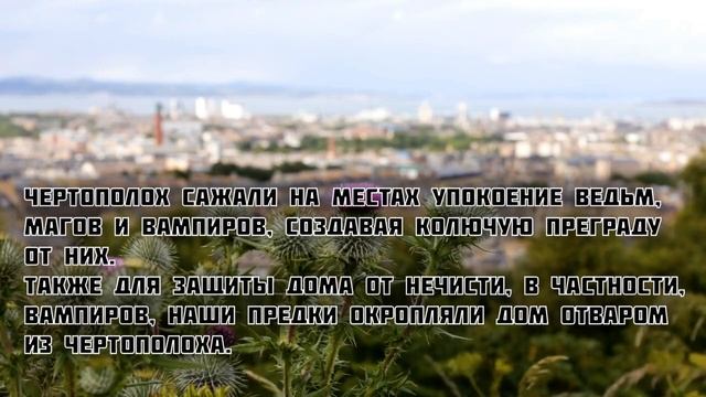 ШОК! Как защититься от вампиров? (Какие надо использовать РАСТЕНИЯ?) смотреть онлайн