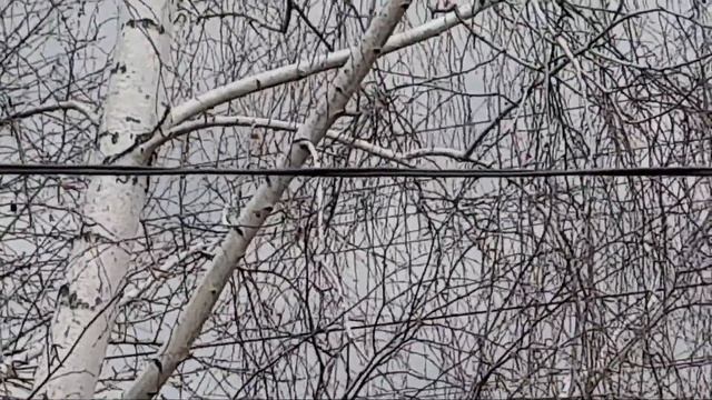 Поездка в станицу Ленинградская, первое счастье.#переезднаюг#станица#краснодарскийкрай#кубань#море смотреть онлайн