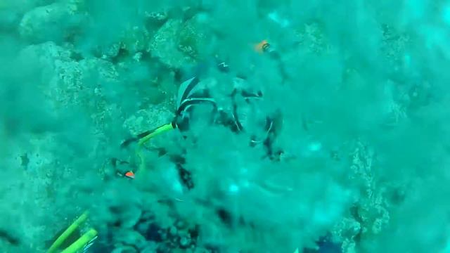 Нырялка в Теляковского смотреть онлайн