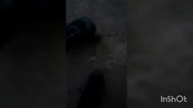 обзор на трюковой самокат смотреть онлайн