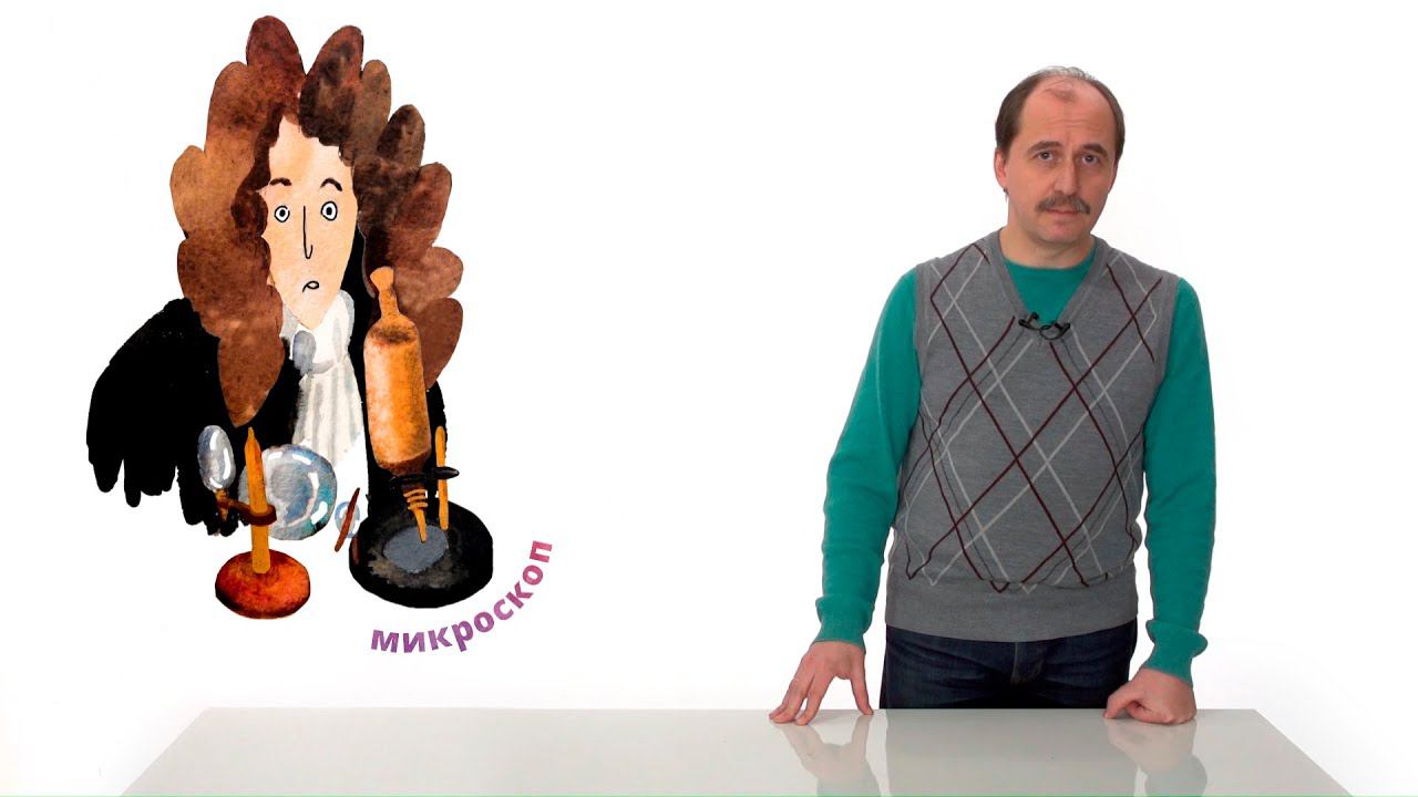 2. Чем живое отличается от неживого. Часть 1 смотреть онлайн