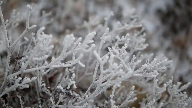 Хребет Большой воробей. Анисимовка, Шкотовский район. Путешествия по приморскому краю. смотреть онлайн