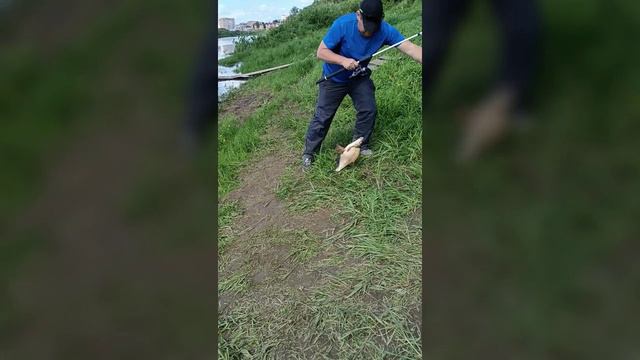 Рыбалка 08.06.2024