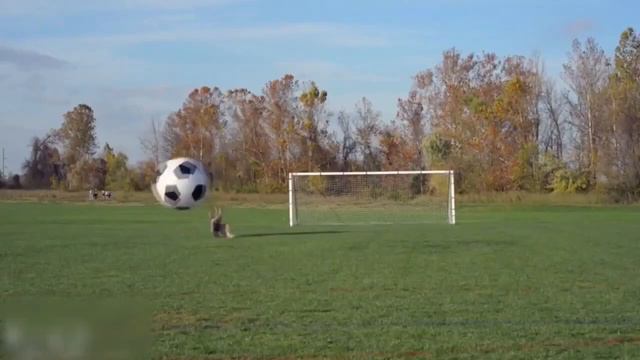Большой мяч! // ВСЁ ИЗ-ЗА ФУТБОЛА смотреть онлайн