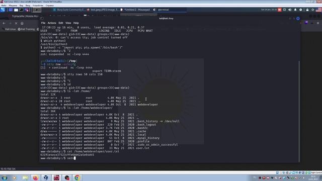 TryHackMe "Road" Room (прохождение комнаты) смотреть онлайн