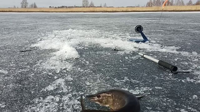 Верхнеуральское водохранилище 10.04.22 смотреть онлайн