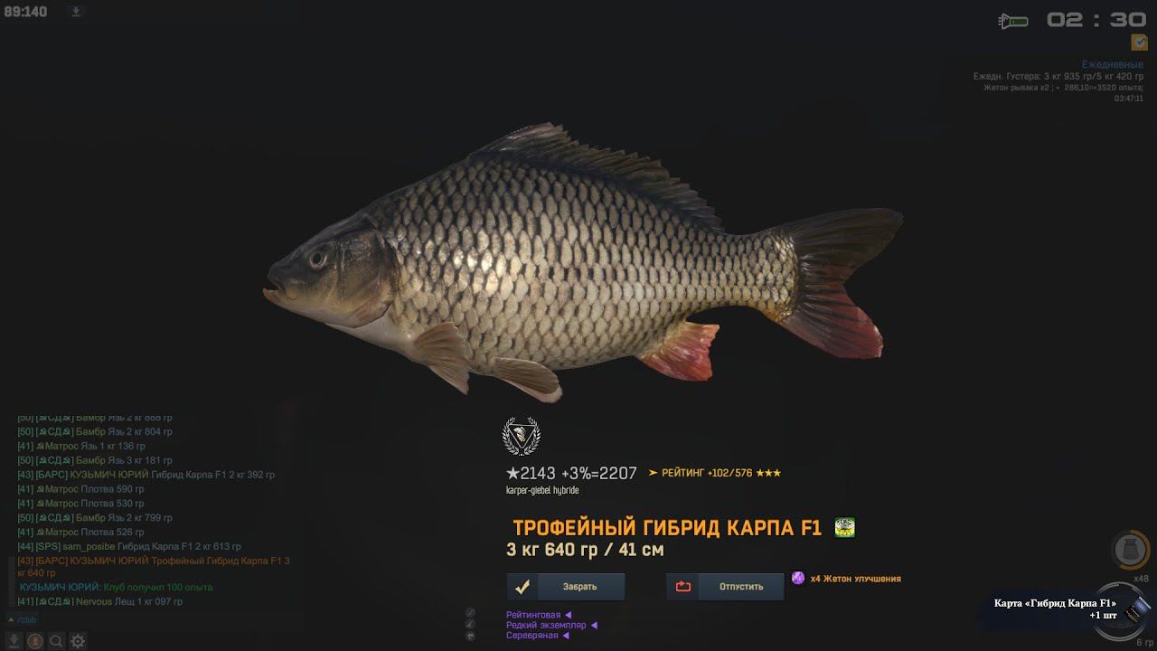 Fisher Online НИДЕРЛАНДЫ ГИБРИД КАРПА F1 смотреть онлайн