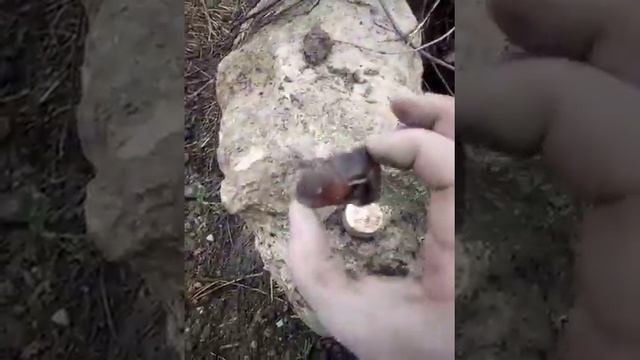 Зеленый камень, что это? Подскажите пожалуйста. Может метеорит? смотреть онлайн