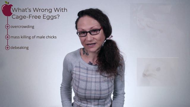 What Does Cage-Free Eggs Mean? смотреть онлайн