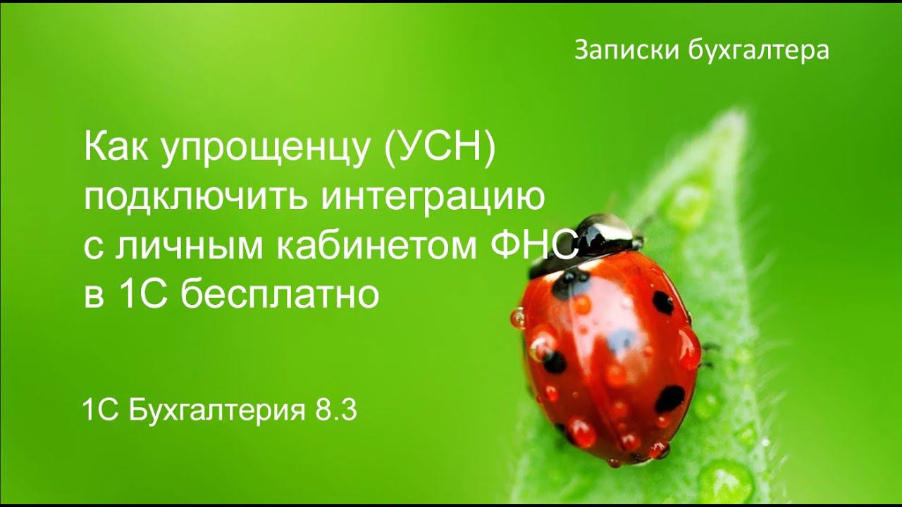Как упрощенцу на УСН подключить интеграцию с личным кабинетом ФНС в 1С бесплатно. смотреть онлайн