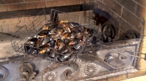 Мидии в створках на мангале. Кухня.