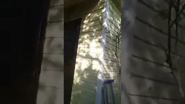 Восточный соловей на даче друга смотреть онлайн