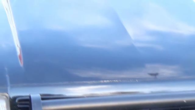 Vi spanar in... en fin Chevrolet Caprice 1991 - Highway Patrol смотреть онлайн