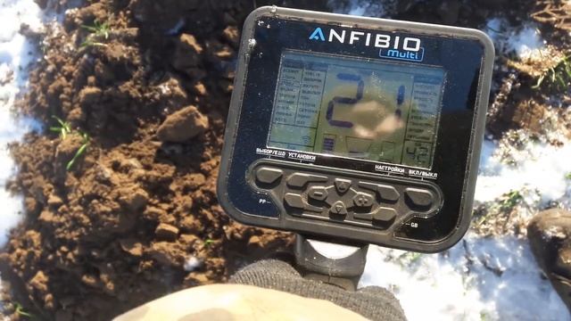 Первый мой выход с Nokta Anfibio Multi