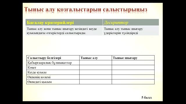 Тыныс алу тарауына бөлімді бағалау жұмысын құрастыру жолдары Хонтай М К Караганда НИШ смотреть онлайн