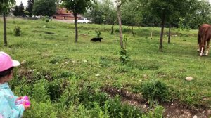 Северная Осетия. Поездка на Кавказ к бабушке.