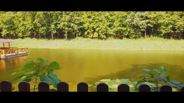 ШПИЛЕВКА, ОЗЕРО (СУМСКАЯ ОБЛАСТЬ) 2021 / SCHPILEVKA, LAKE (SUMY REGION) 2021 | DJI MINI 2