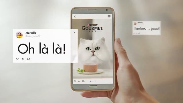 Purina Gourmet Gold - piensoymascotas смотреть онлайн