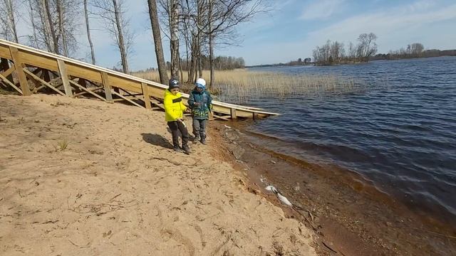 Рыбалка на поплавок. И отдых и рыбалка в Рыбной слободе. Озеро Вуокса. смотреть онлайн