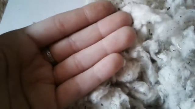 Вата для гнёзд грызунов от фирмы ferplast смотреть онлайн