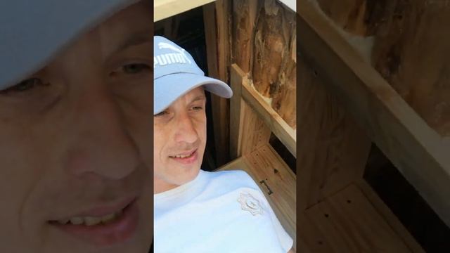 Баня под ключ 3х3 и предбанник 1.5х3 из сруба сосны в лапу из зимнего леса. смотреть онлайн