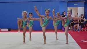Групповое выступление по художественной гимнастике
