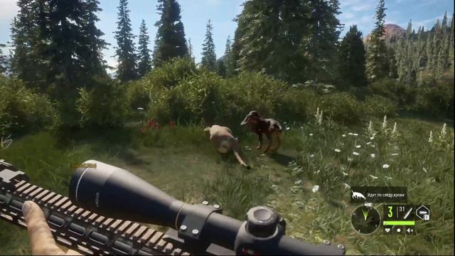 Девушка играет в The hunter call of the wild охота начинается смотреть онлайн