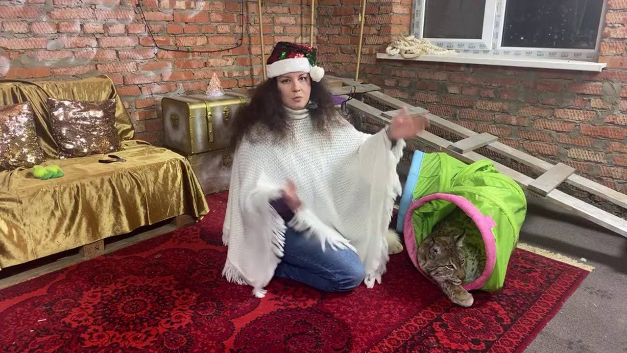 Марс в прямом эфире!