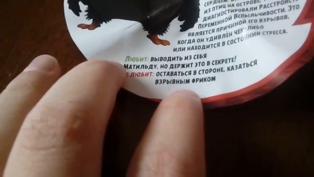 свит бокс энгри бёртс смотреть онлайн