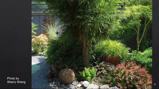 High-Impact Plant Combinations - OSU Master Gardeners Noon-Time Chat смотреть онлайн