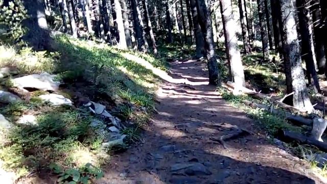 6ч ПВД на гору Хомяк... 20170916 101745 смотреть онлайн