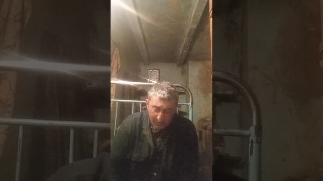 песня на стихи Сергея Есенина. ах как много на свете кошек смотреть онлайн