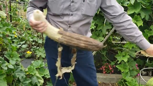 Люффа | Как это сделано | Luffa смотреть онлайн