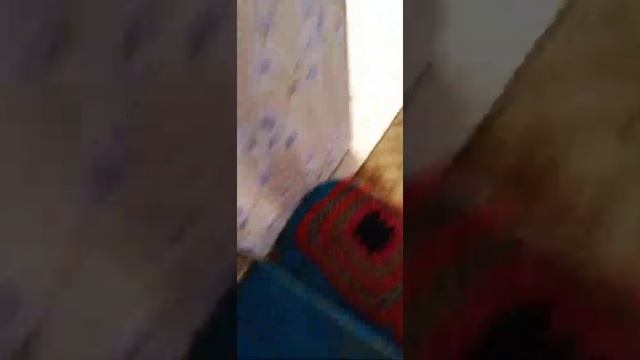 Жесткий краш тест колонок самсунг смотреть онлайн