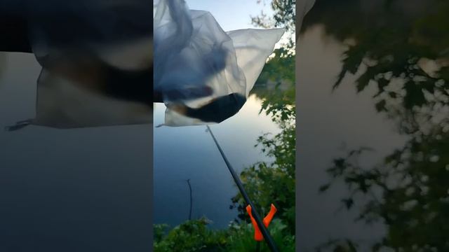 Вечерняя рыбалка