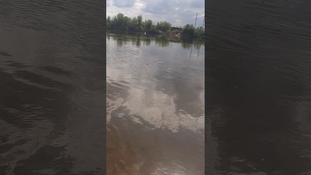 Все он же ГОЛАВЛЬ смотреть онлайн