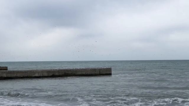 Прогулка по набережной в Сочи. 03.03.2018. В ритме города Сочи смотреть онлайн