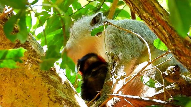Mom Elsa caring baby Elis смотреть онлайн