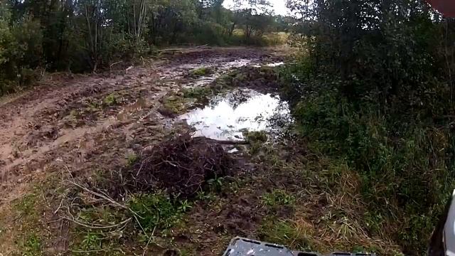 Квадропокатушка "Снова в школу" смотреть онлайн